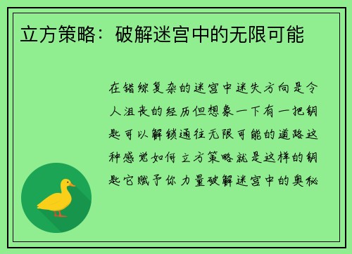 立方策略:破解迷宫中的无限可能